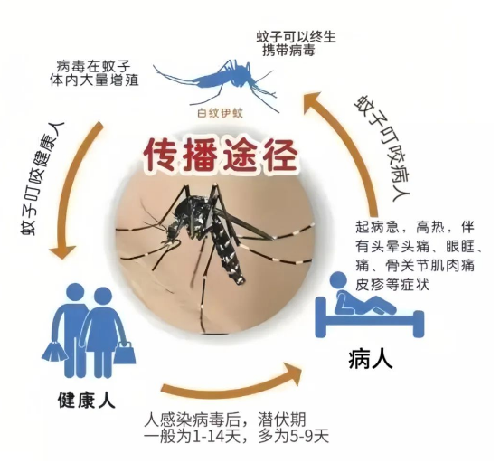 海燕论坛(中国区)官方网站_项目8381